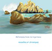 La métempsychose du bigorneau